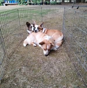 Meet your Posher, Denise